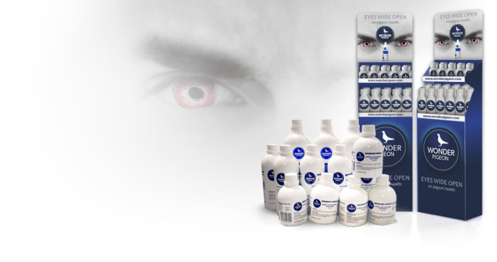 BannerWP_Espositore